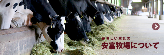 岡山県の牧場アイスお取り寄せなら|【安富牧場】岡山の酪農教育 